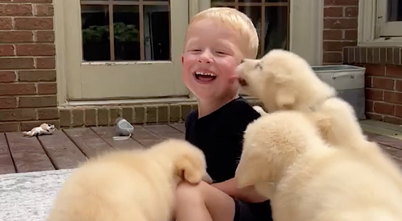 Making children laugh is now linked to faster learning and steadier brains.